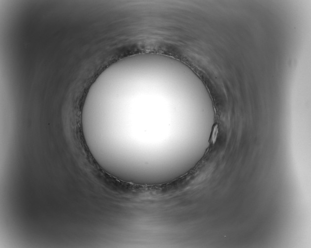 X0000088370865200706051039