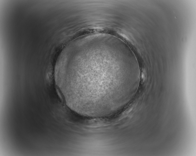 X0000088370867200706051039