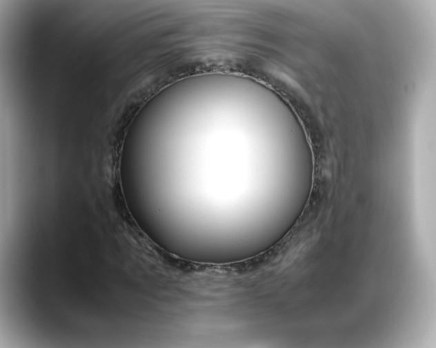 X0000088370869200706051039