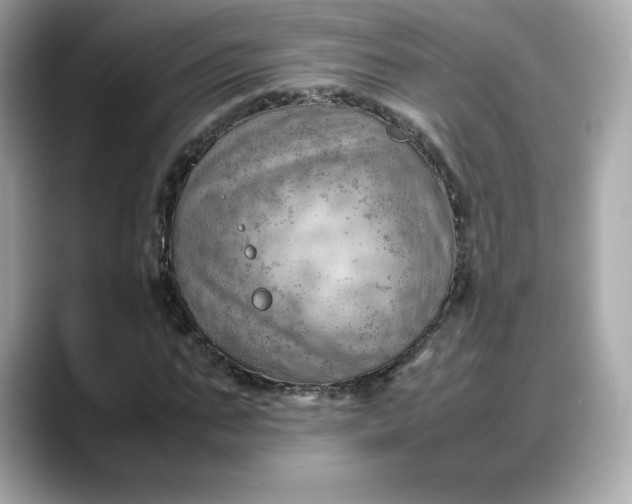X0000088370871200706051039