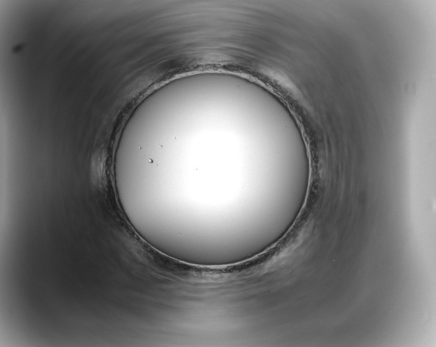 X0000088370873200706051039