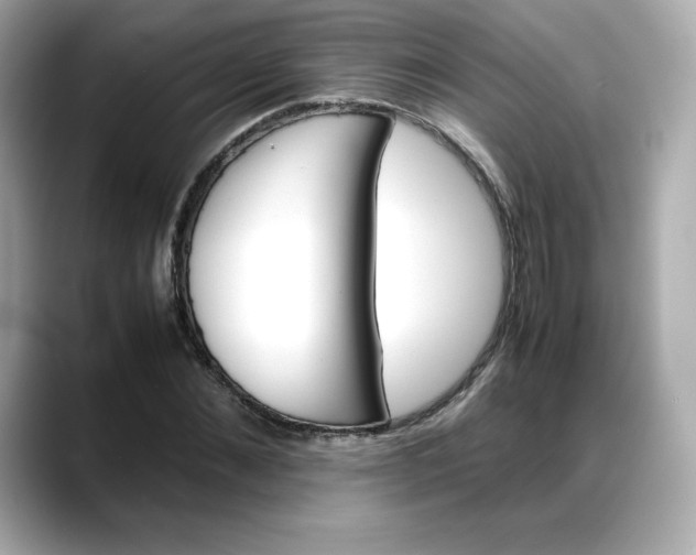 X0000088370876200706051039