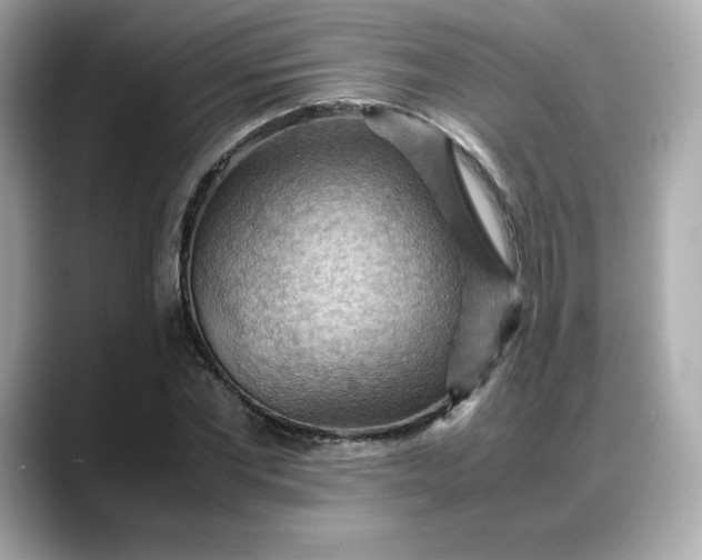 X0000088370877200706051039