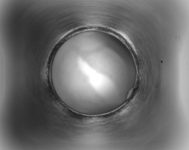 X0000088370879200706051039