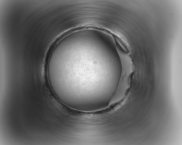 X0000088370880200706051039