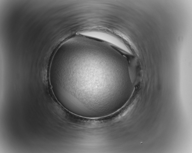 X0000088370881200706051039