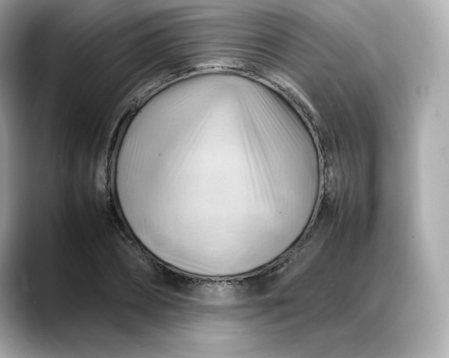 X0000088370882200706051039