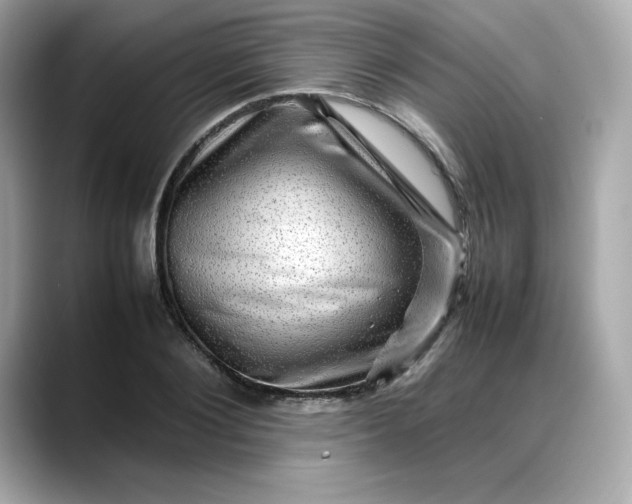 X0000088370884200706051039