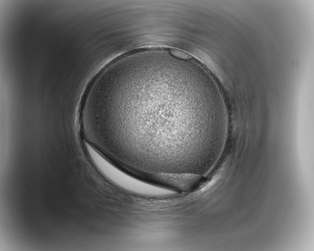 X0000088370885200706051039