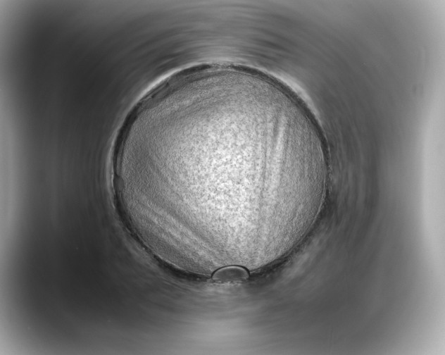 X0000088370887200706051039