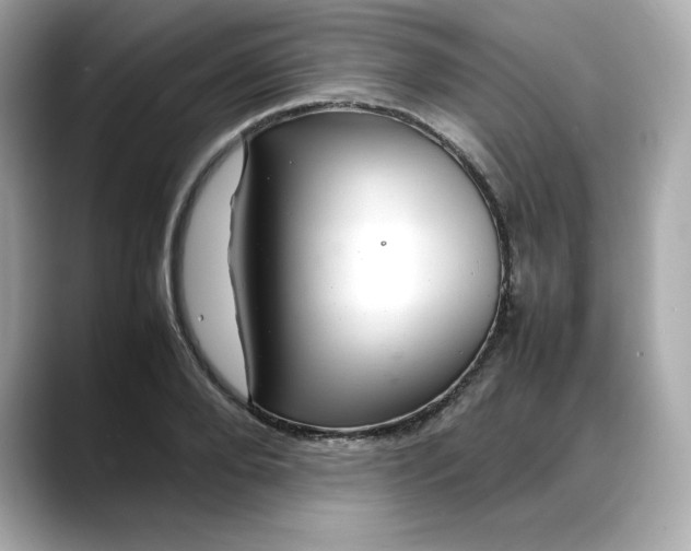 X0000088370888200706051039