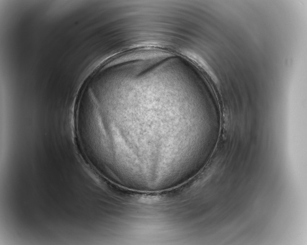 X0000088370890200706051039