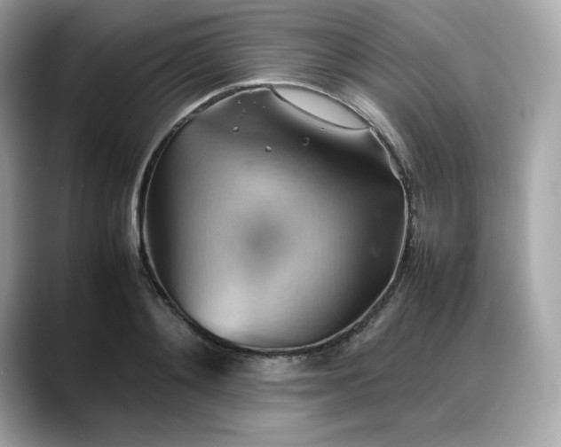 X0000088370892200706051039