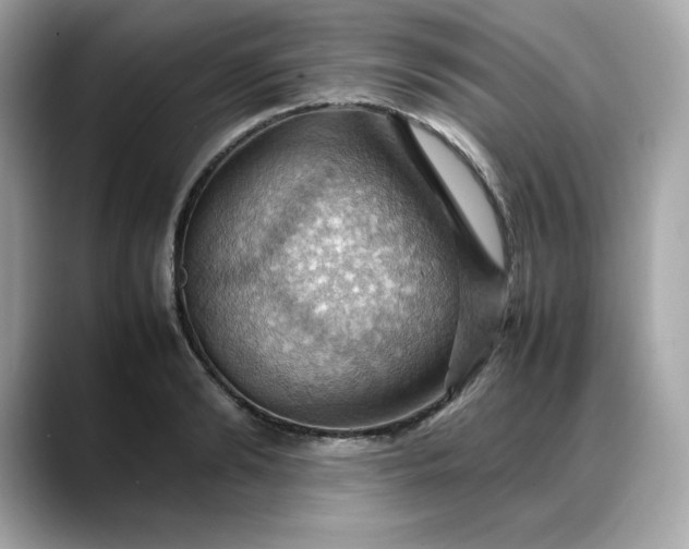X0000088370894200706051039