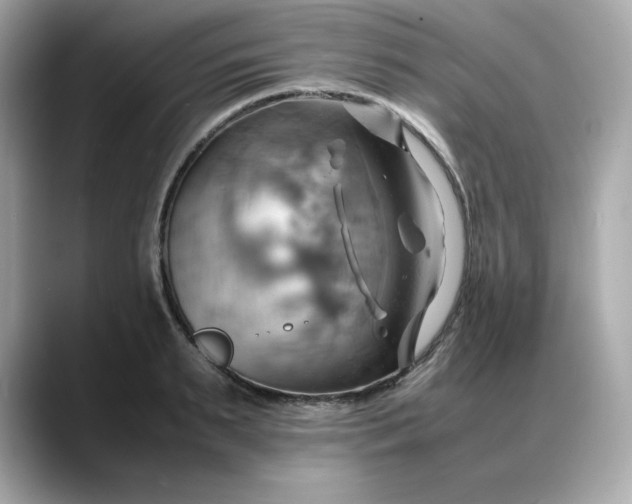 X0000088370895200706051039