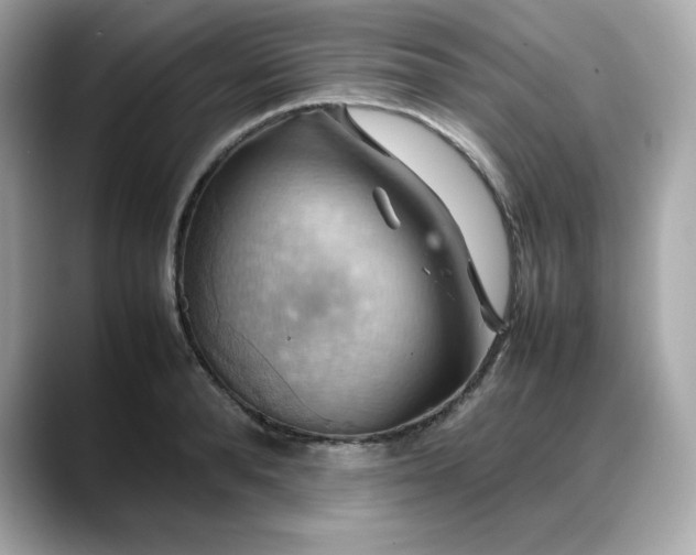 X0000088370896200706051039
