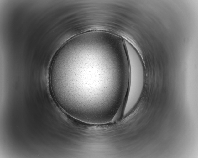 X0000088370898200706051039