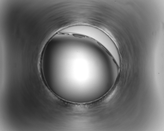 X0000088370901200706051039