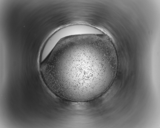 X0000088370902200706051039