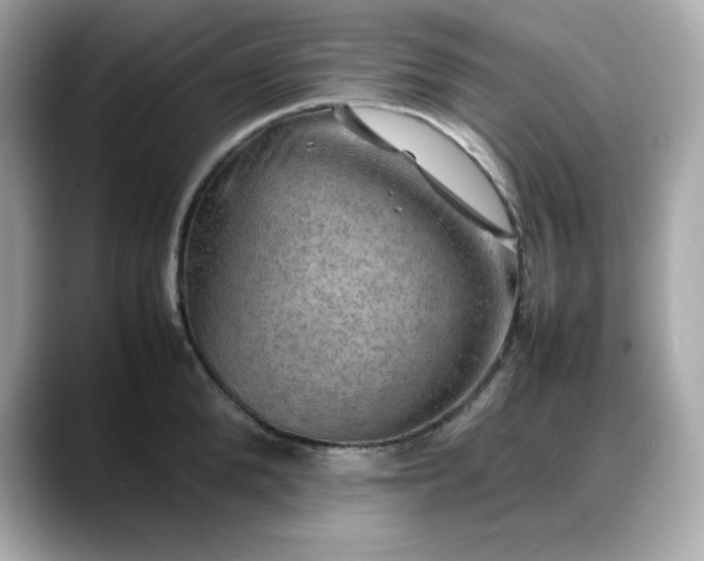 X0000088370904200706051039