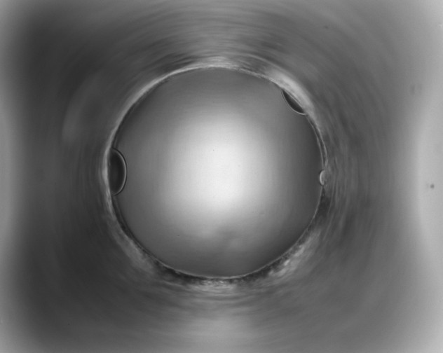 X0000088370907200706051039