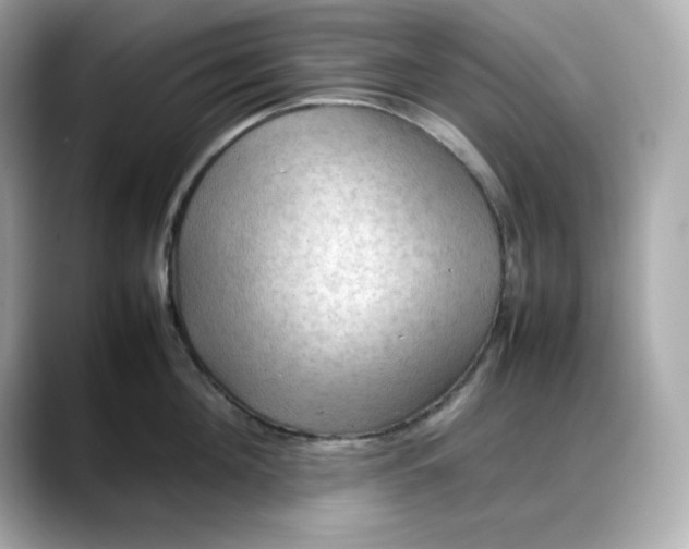 X0000088370908200706051039