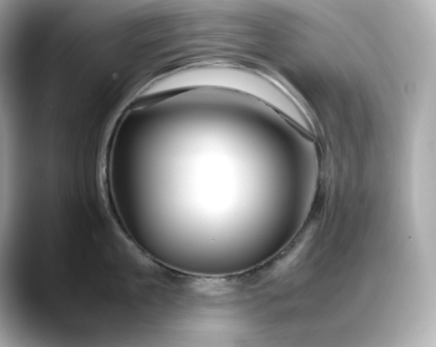 X0000088370909200706051039