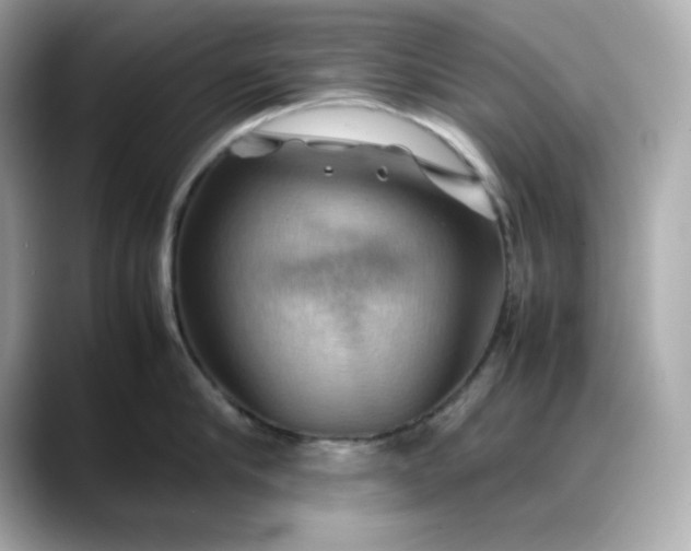 X0000088370910200706051039