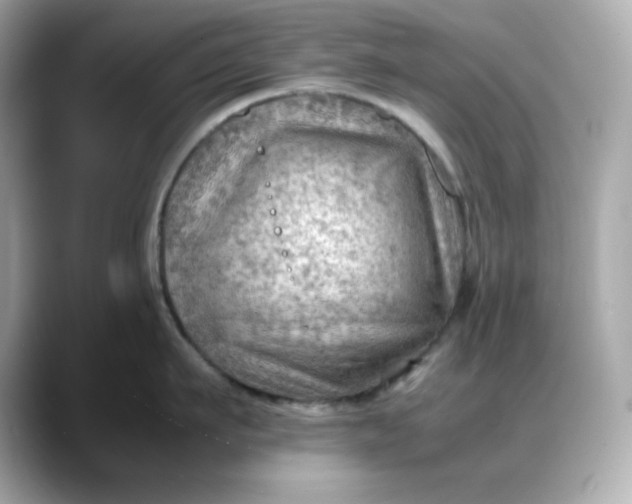 X0000088370911200706051039
