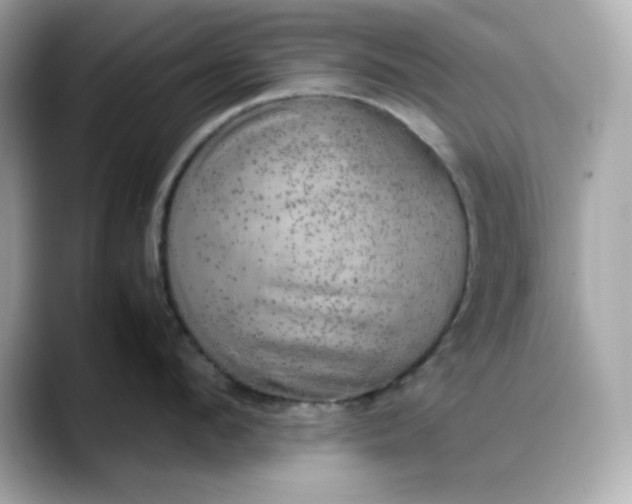 X0000088370912200706051039