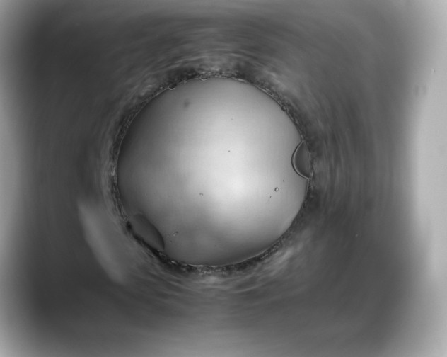 X0000088370913200706051038