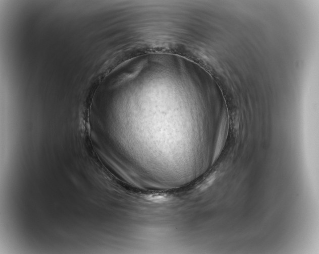X0000088370916200706051038
