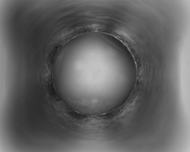 X0000088370917200706051038