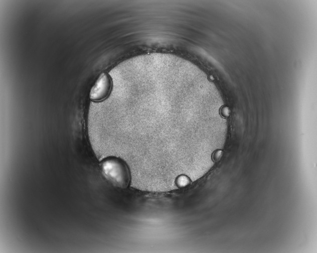 X0000088370918200706051038