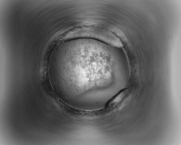 X0000088370920200706051038