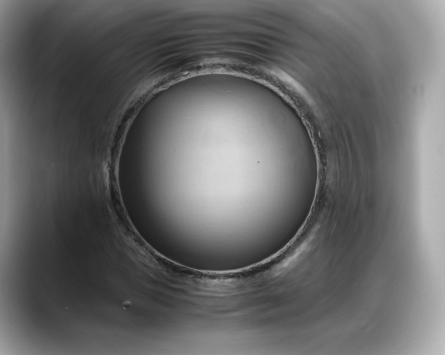 X0000088370921200706051038