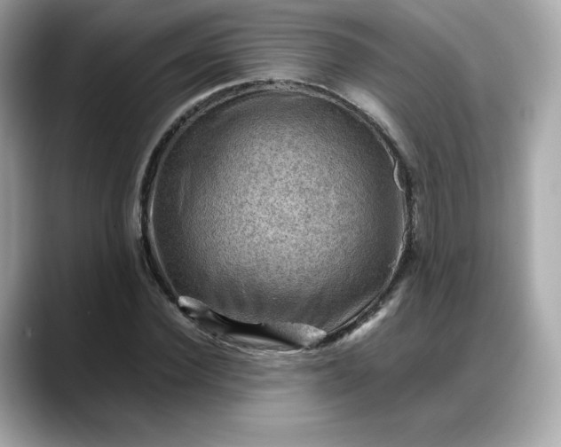 X0000088370924200706051038