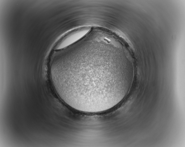 X0000088370926200706051039