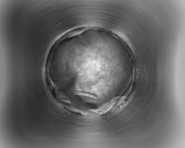 X0000088370928200706051039