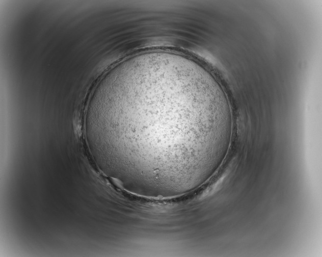 X0000088370929200706051039