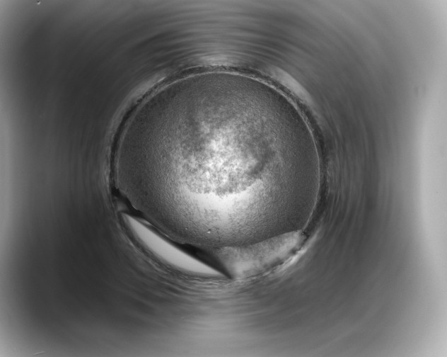X0000088370930200706051039