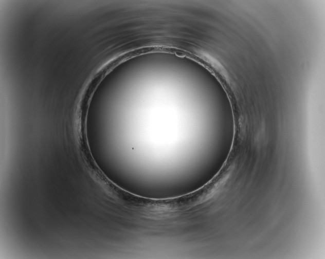 X0000088370931200706051039