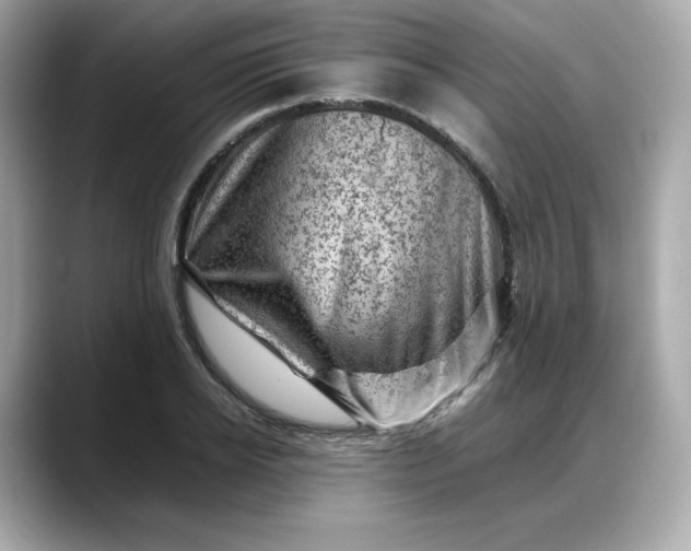 X0000088370934200706051039