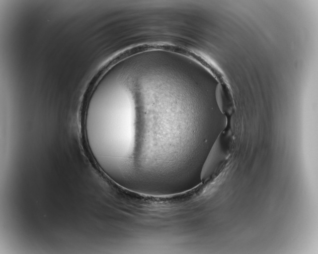 X0000088370935200706051039