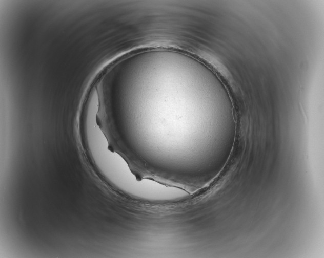 X0000088370936200706051039