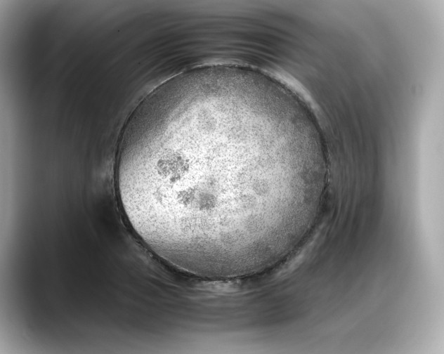 X0000088370937200706051039