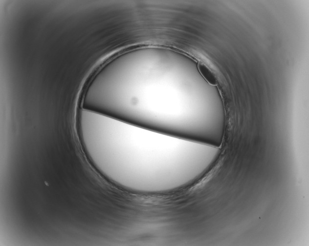 X0000088370940200706051039