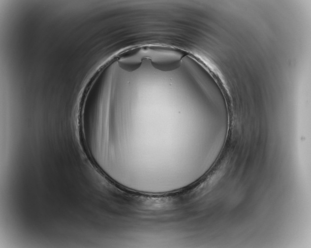X0000088370941200706051039