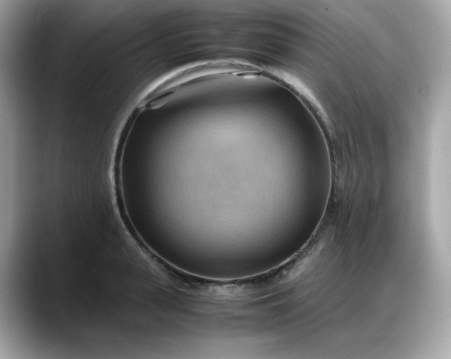 X0000088370943200706051039