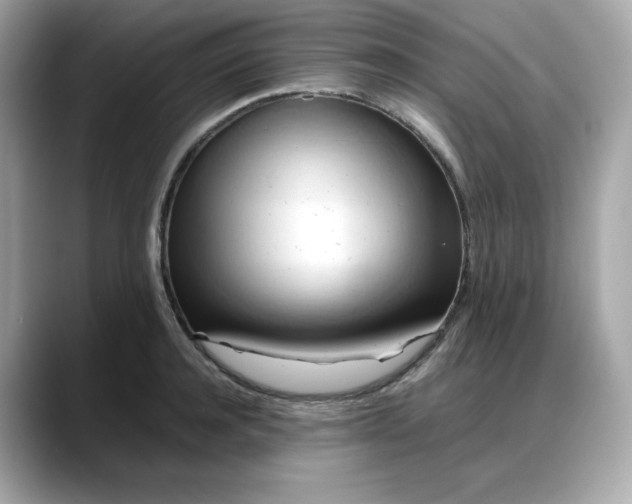 X0000088370944200706051039